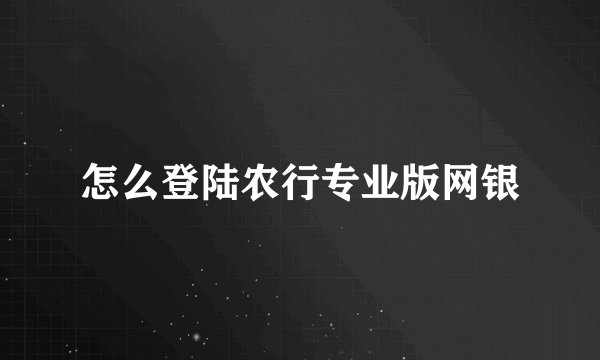 怎么登陆农行专业版网银