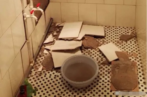 宁夏固原发生了多少级的地震?