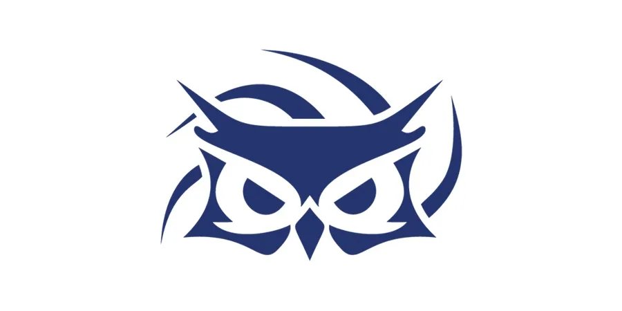 《英雄联盟》2020SUP战队介绍