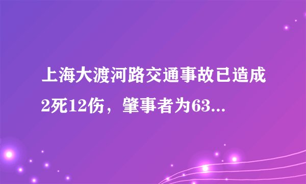 上海大渡河路交通事故已造成2死12伤，肇事者为63岁男子, 你怎么看？