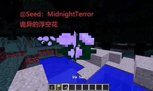 我的世界恐怖种子代码大全