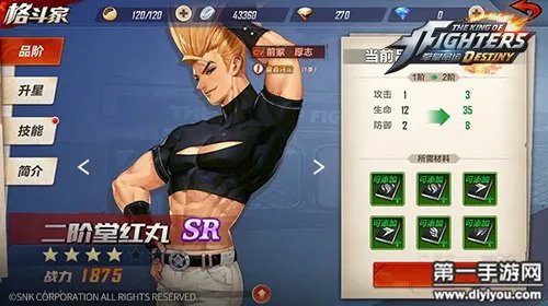 拳皇命运二阶堂红丸出招表 红丸技能连招推荐