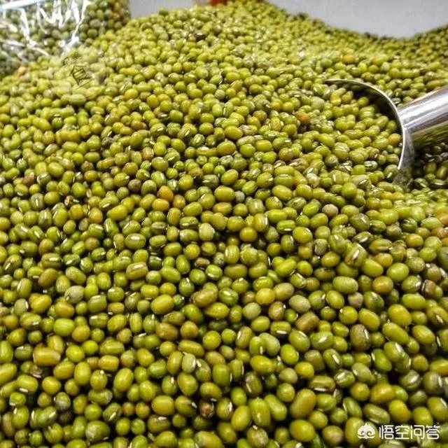 夏天喝什么饮料好?