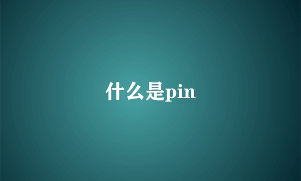 什么是pin