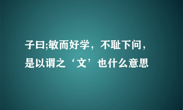 子曰;敏而好学，不耻下问，是以谓之‘文’也什么意思