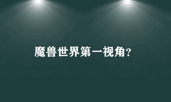 魔兽世界第一视角？