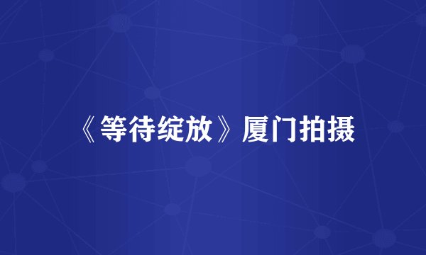《等待绽放》厦门拍摄