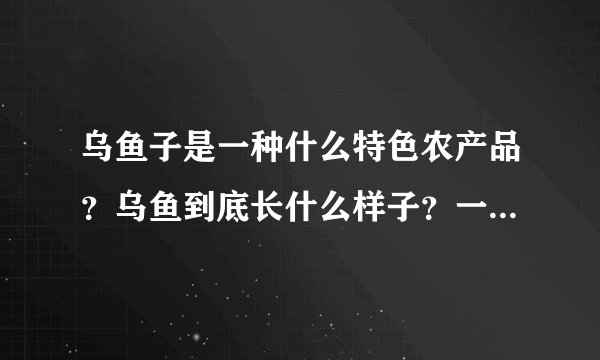 乌鱼子是一种什么特色农产品？乌鱼到底长什么样子？一起来看看吧