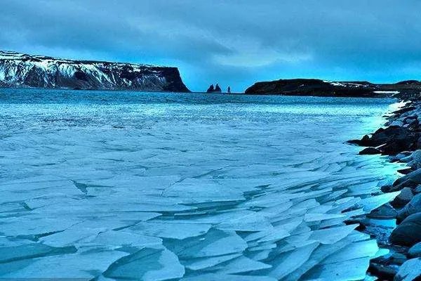 你会用什么方式，让领导开展2.5天弹性休假政策？