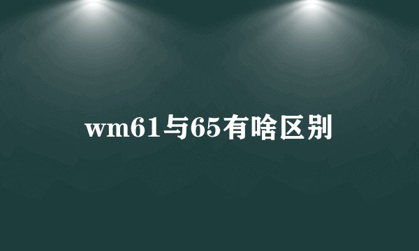 wm61与65有啥区别
