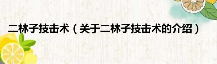 二林子技击术（关于二林子技击术的介绍）