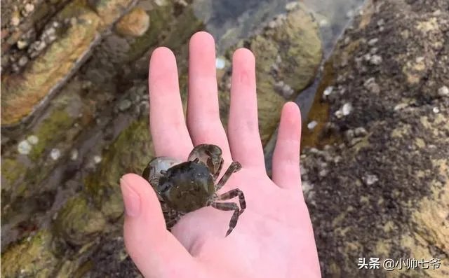 暑期旅行大家都去哪里?适合孩子的地方?