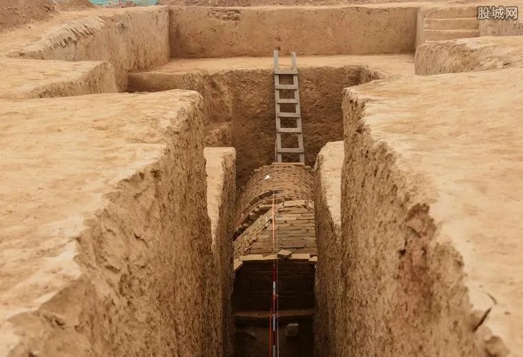 汉中现剑齿象化石 古生物化石收藏价值是多少