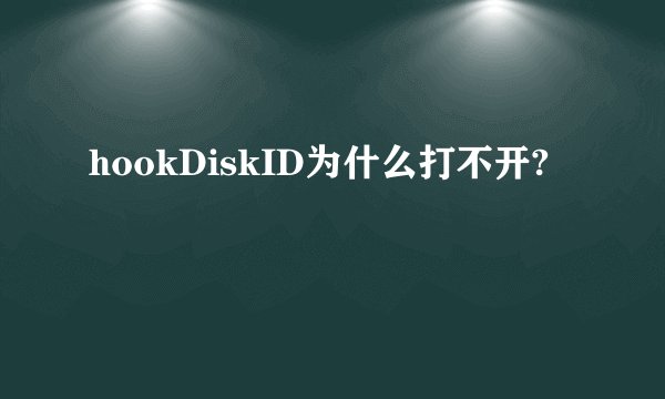hookDiskID为什么打不开?