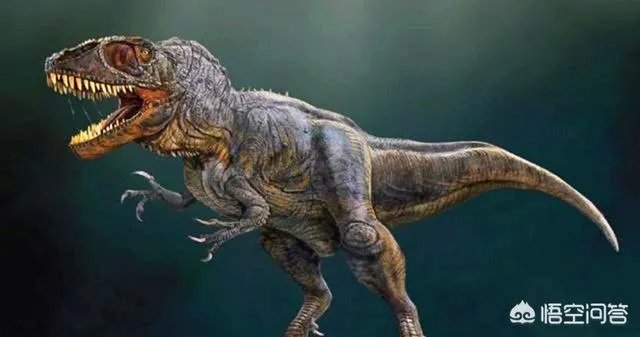 远古时期，地球上最大的食肉动物“里奥普鲁顿”真的存在吗？