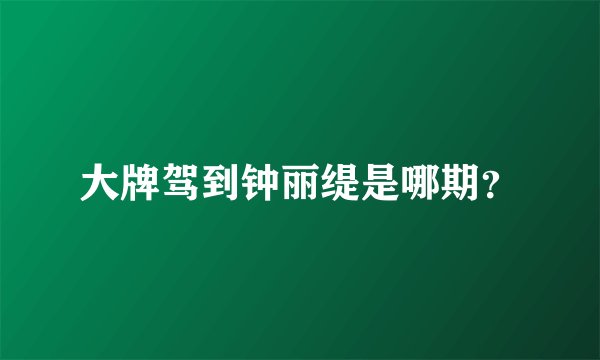 大牌驾到钟丽缇是哪期？