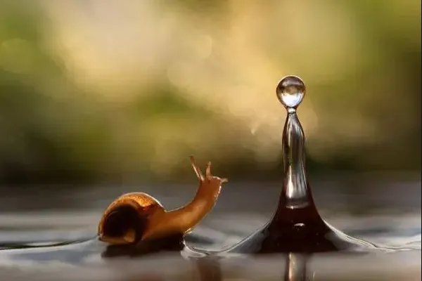 全球十大必看英文纪录片，地球与海洋让人体会大自然的伟大