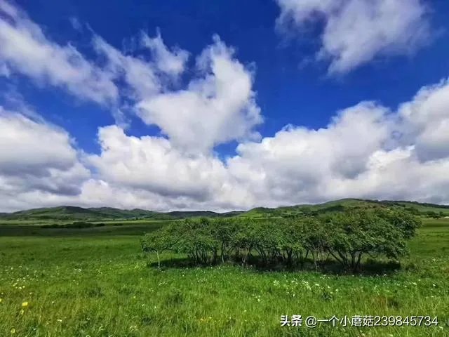 暑期旅行大家都去哪里?适合孩子的地方?