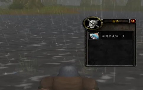 魔兽世界怎么钓鱼