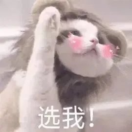 硬核！护士长粗心毁厨房，仅有吊顶幸存， 吊顶一抹还原如新