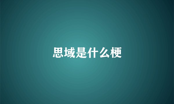 思域是什么梗
