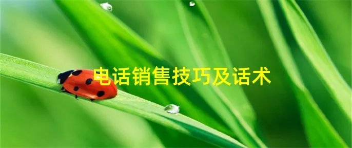 电话销售技巧及话术