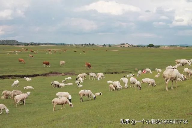 暑期旅行大家都去哪里?适合孩子的地方?