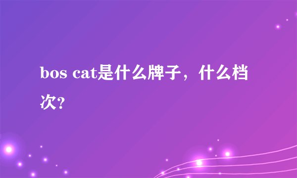bos cat是什么牌子，什么档次？