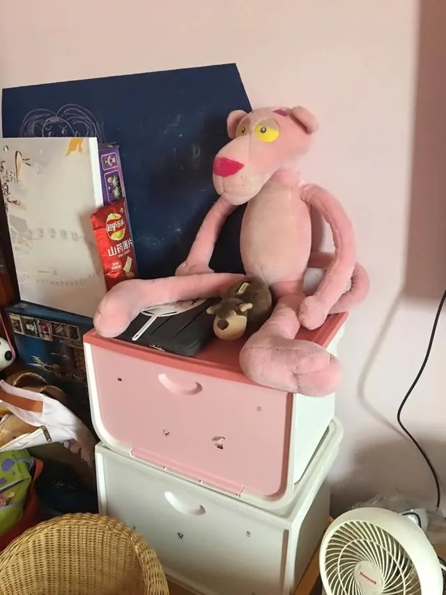 《精英律师》戴曦大学毕业没有拿到法律文凭，你怎么看？像她这种情况还有机会考律师吗？