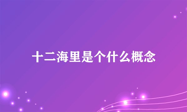 十二海里是个什么概念