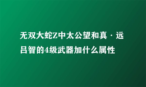 无双大蛇Z中太公望和真·远吕智的4级武器加什么属性
