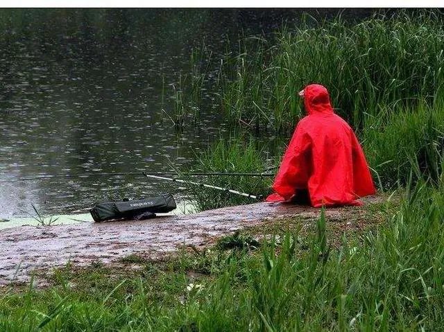 下雨天河边钓鱼，打鱼窝有没有效果，知道的老铁能否分享下经验？