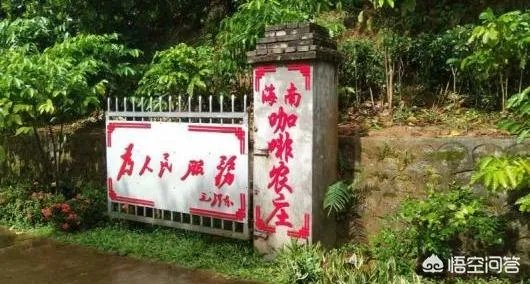 海南有什么特产？