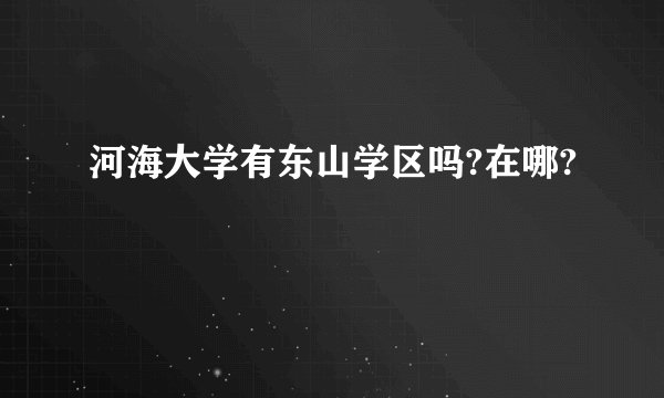 河海大学有东山学区吗?在哪?