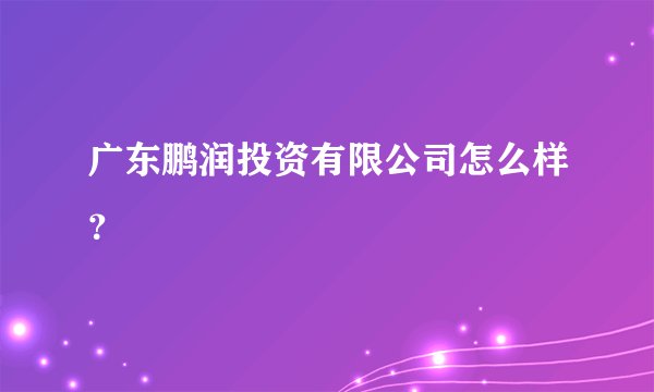 广东鹏润投资有限公司怎么样？