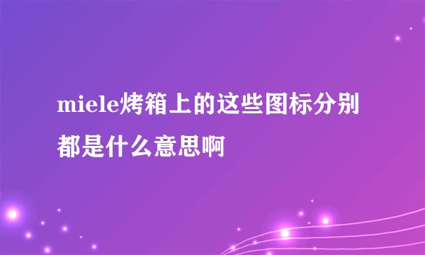 miele烤箱上的这些图标分别都是什么意思啊