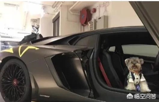 秦升亚冠决赛对骂，秦升怎么会韩语，秦升年薪多少万？