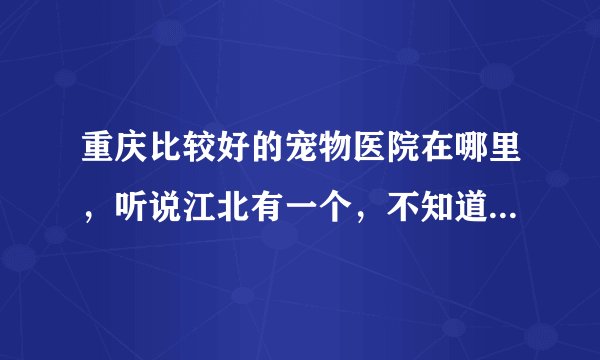 重庆比较好的宠物医院在哪里，听说江北有一个，不知道在什么地方。