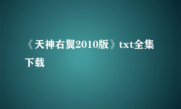 《天神右翼2010版》txt全集下载