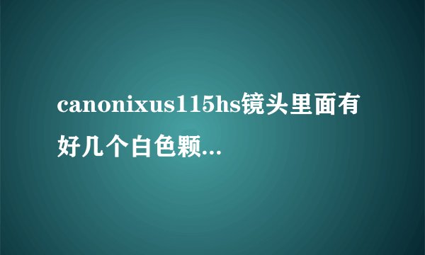 canonixus115hs镜头里面有好几个白色颗粒状的东西，正常吗？