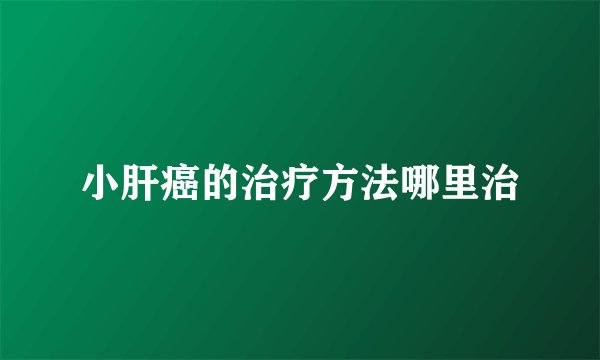 小肝癌的治疗方法哪里治
