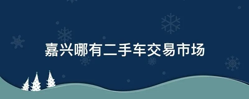 嘉兴哪有二手车交易市场