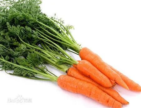 世界上有多少种胡萝卜