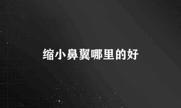 缩小鼻翼哪里的好