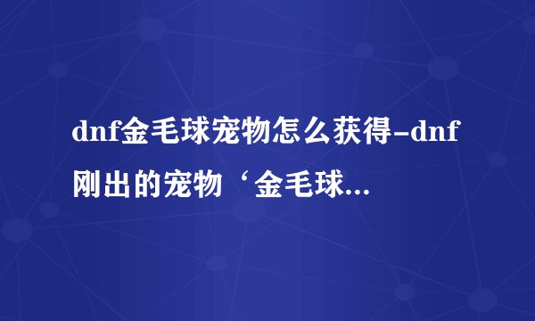 dnf金毛球宠物怎么获得-dnf刚出的宠物‘金毛球’长什么样？