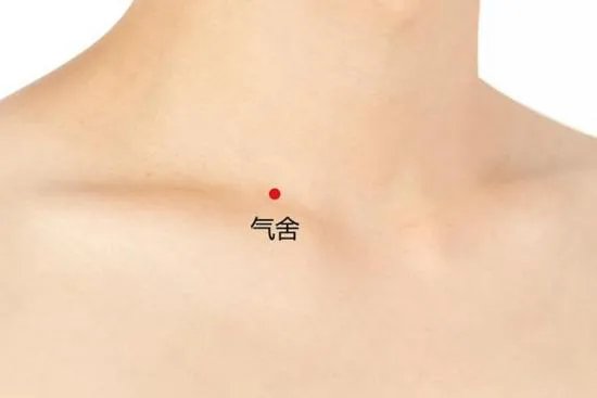 气舍的准确位置图片及作用