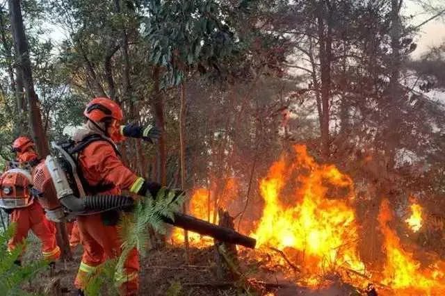 佛山凌云山山火：明火基本扑灭，东线两处复燃被灭, 你怎么看？