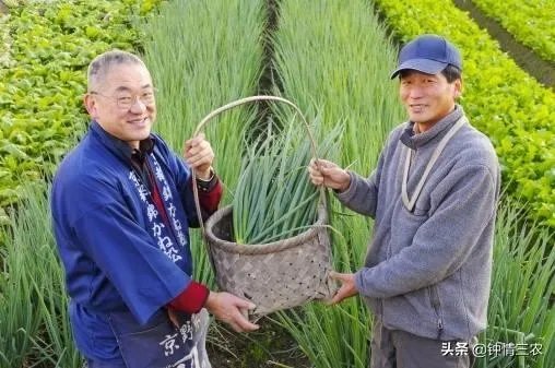 农村老人六十多岁了还在工地上打工正常吗？