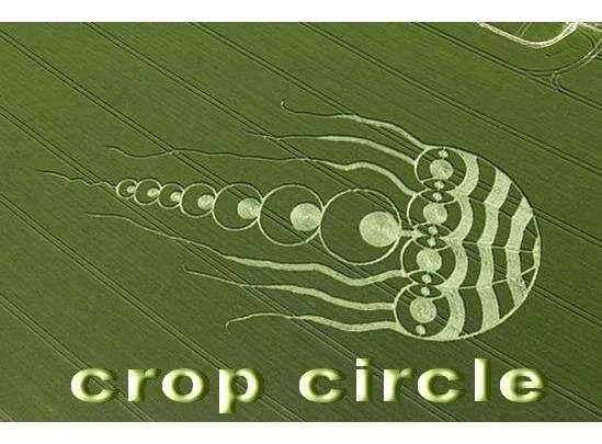 circle是什么意思