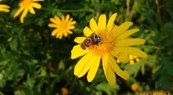 OPPO新旗舰N1发布会 图文转播让你亲临现场